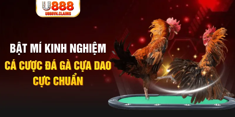 oxbet in trong baccarat, ai là người chia bài chính？