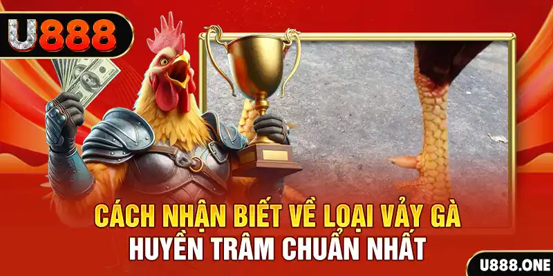 oxbet in Chú hề Patty tuổi teen