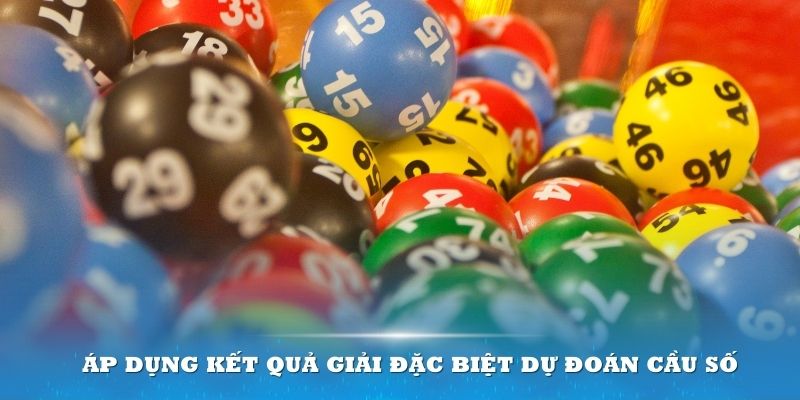 oxbet in what is live dealer casino