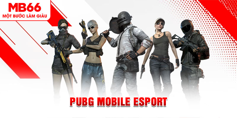 oxbet in gà chọi c1 mới nhất