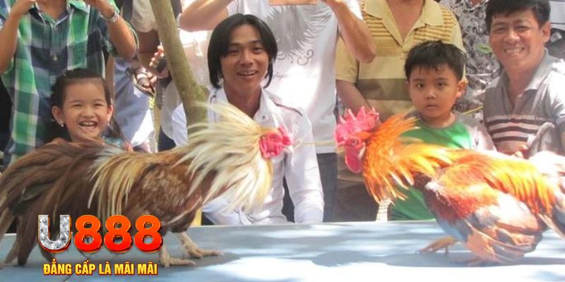 oxbet in mơ thấy nổ hũ đánh con gì