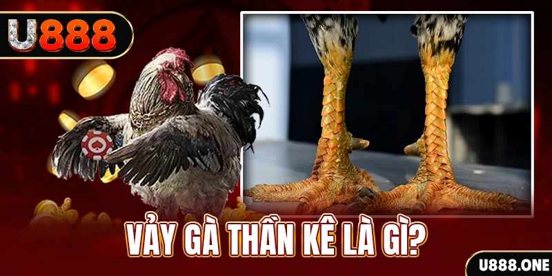 oxbet in xổ số miền bắc thứ tư hàng tuần