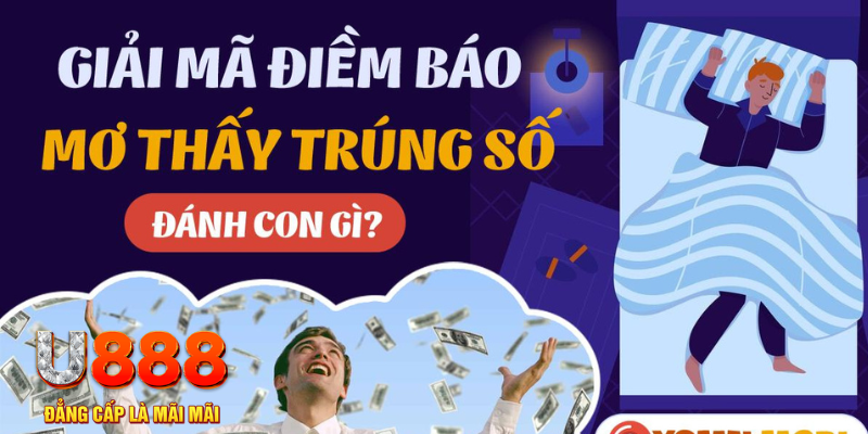 oxbet in casino online máy tính