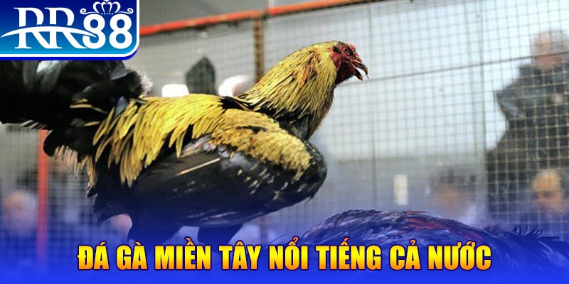 oxbet in đăng nhập liêng miễn phí