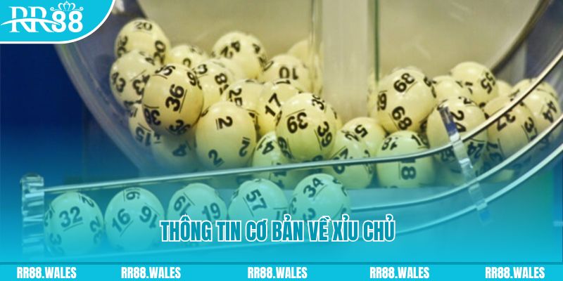 oxbet in baccarat long bảo là gì