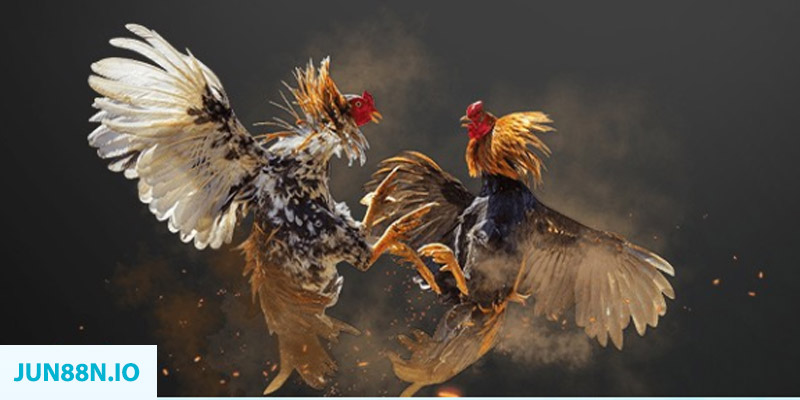 oxbet in đăng nhập sòng bạc miễn phí