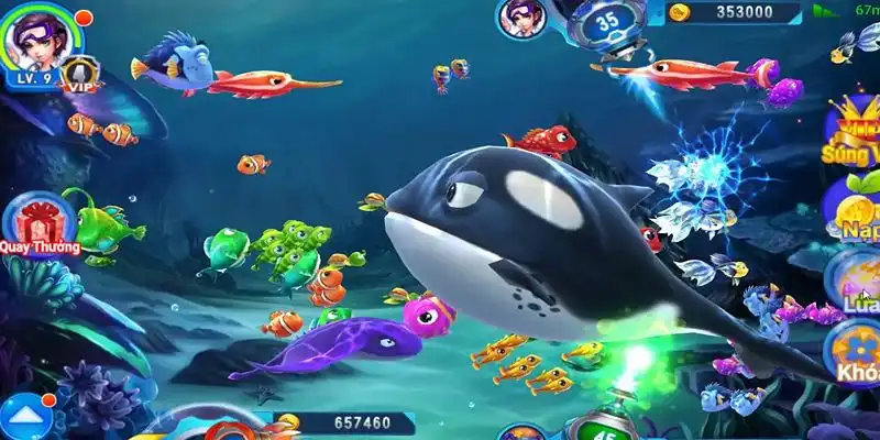 oxbet in truc tiep da ga