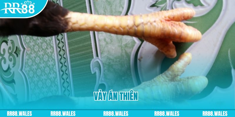 oxbet in who wants to be a millionaire slot