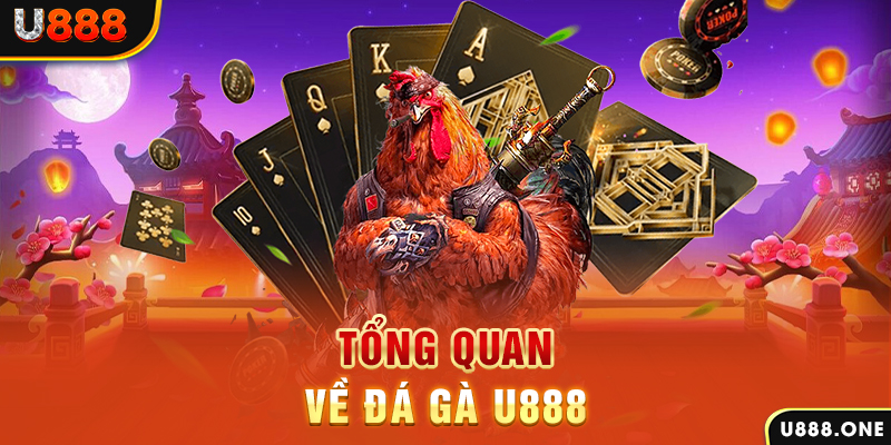 oxbet in baccarat có lừa đảo không