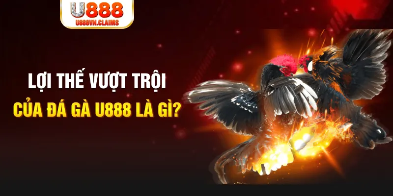 oxbet in 888 slot là gì